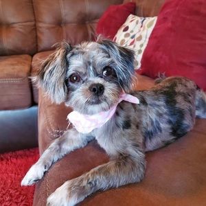 Meet your Posher, Carl